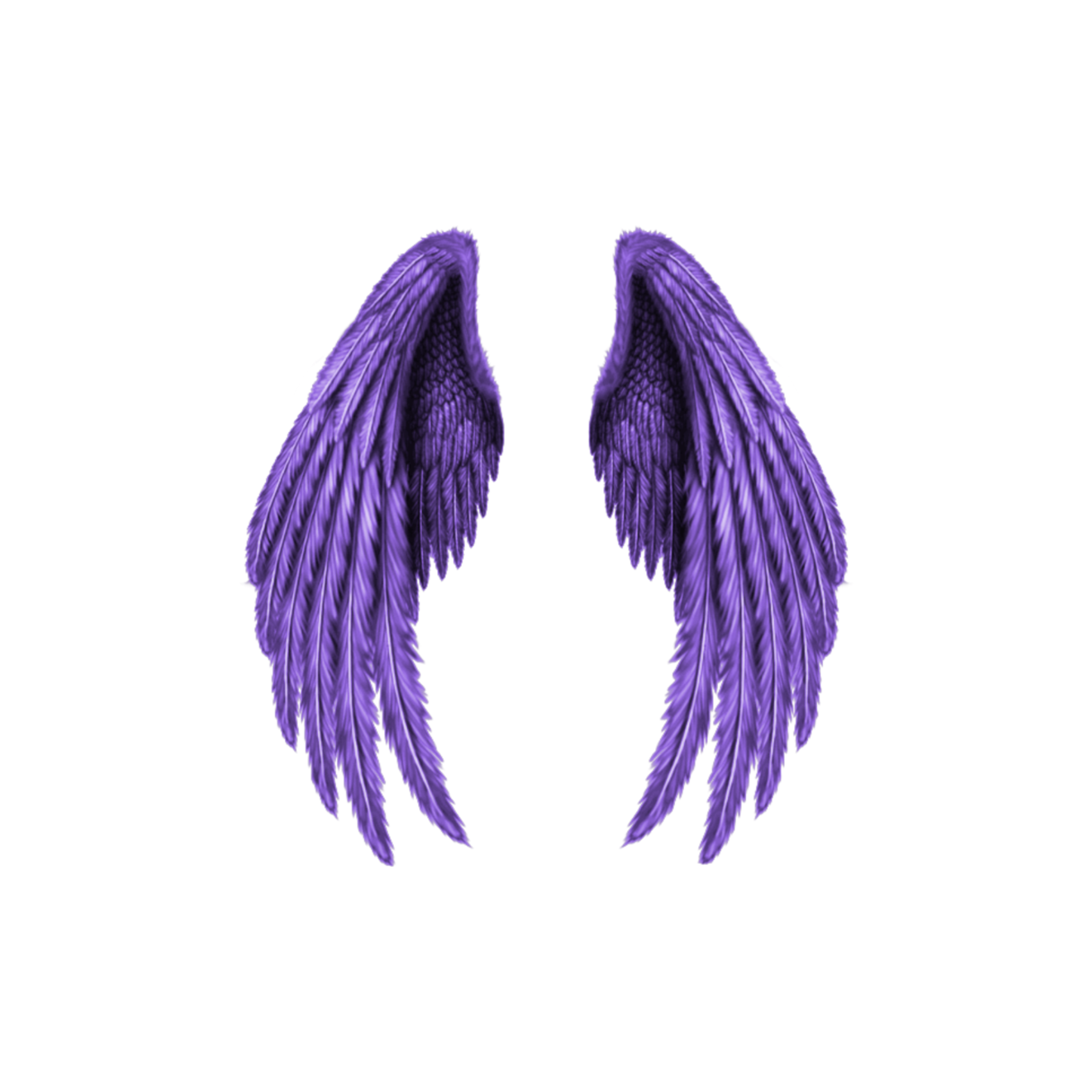 wings freetoedit #wings sticker by @tigressasanchez1