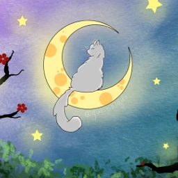 nightforest cat starrysky sky contest dcnightforest