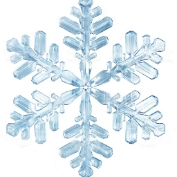 snowflakes snow freetoedit scsnowflake snowflake scchristmascard christmascard