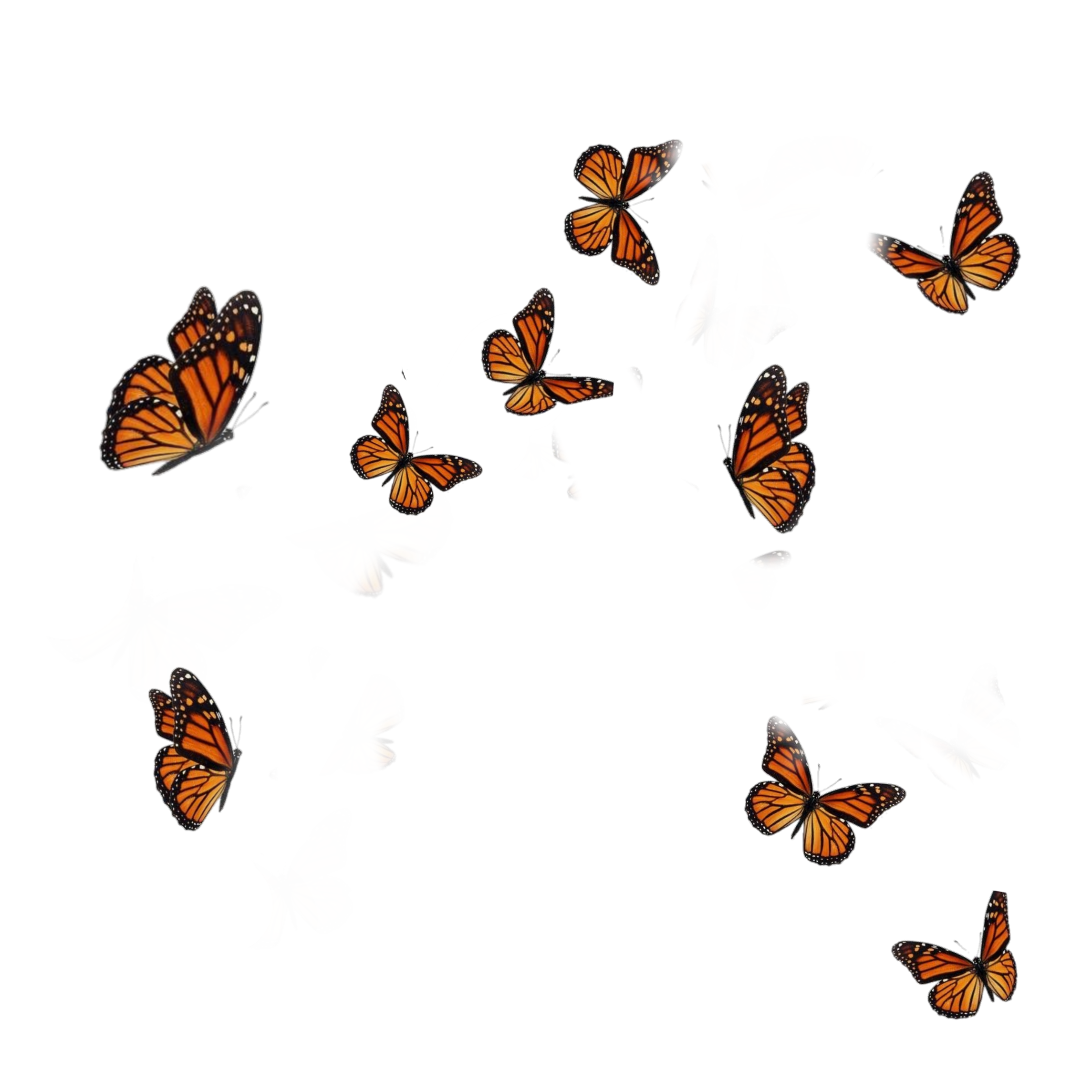 Бабочка пиксарт. Текстуры бабочки пиксарт. Оранжевая бабочка Эстетика на прозрачном фоне. Фон с бабочками для фотошопа из пиксарта.