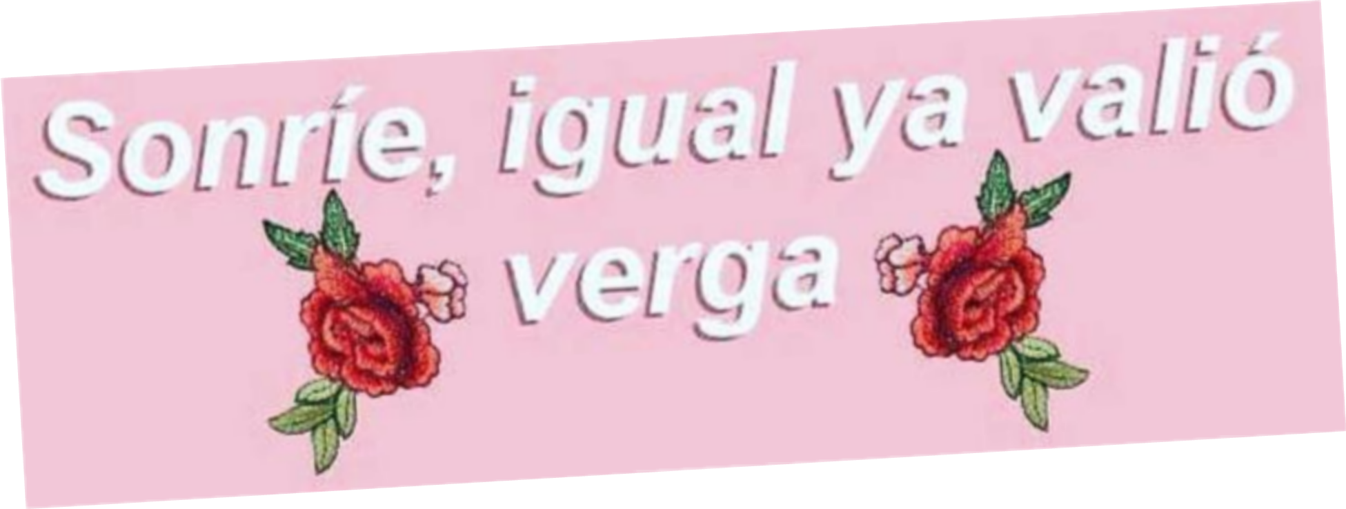 me-freetoedit-me-vale-verga-sticker-by-martaguevara6137717