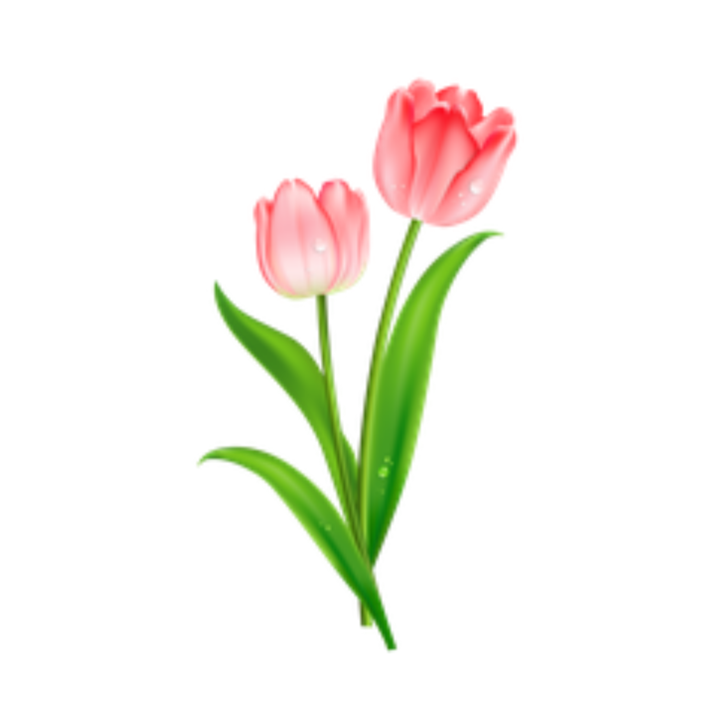 Freetoedit Pink Tulips Sticker By Kristalfrancinebrown