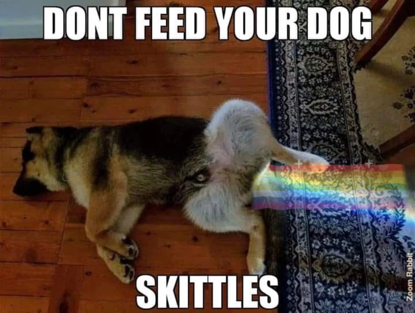40 Of The Funniest Sleeping Memes Ever Bored Panda