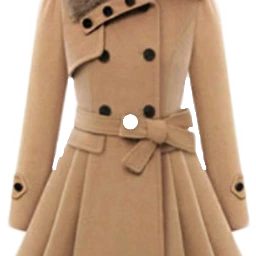 coat ladysoutfit outfit winter winterfeels freetoedit scwinteroutfit winteroutfit