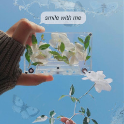 freetoedit blue simplicity magical transparentancy bluebutterflies water whiteflowers textmessage peaceful