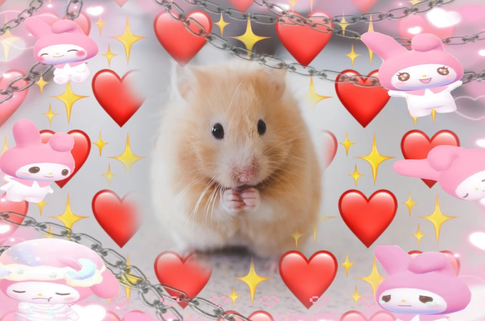 Hamster Image By Winny Bratner Storme Hamster Image By Winny Bratner Storme