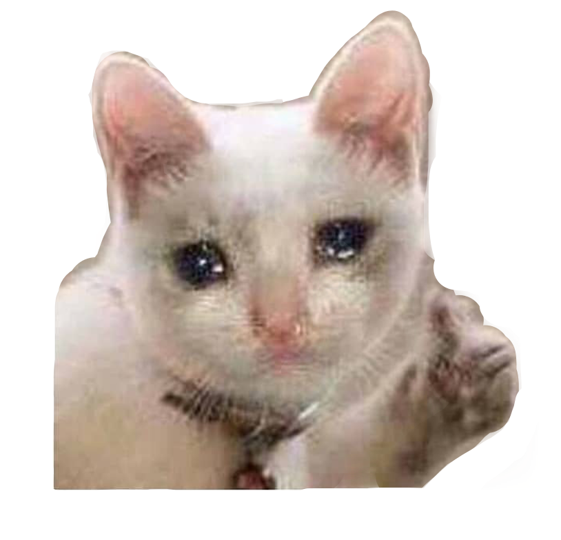 Sad Cat Meme Mood Sniffles Sticker By Camrynglasgow