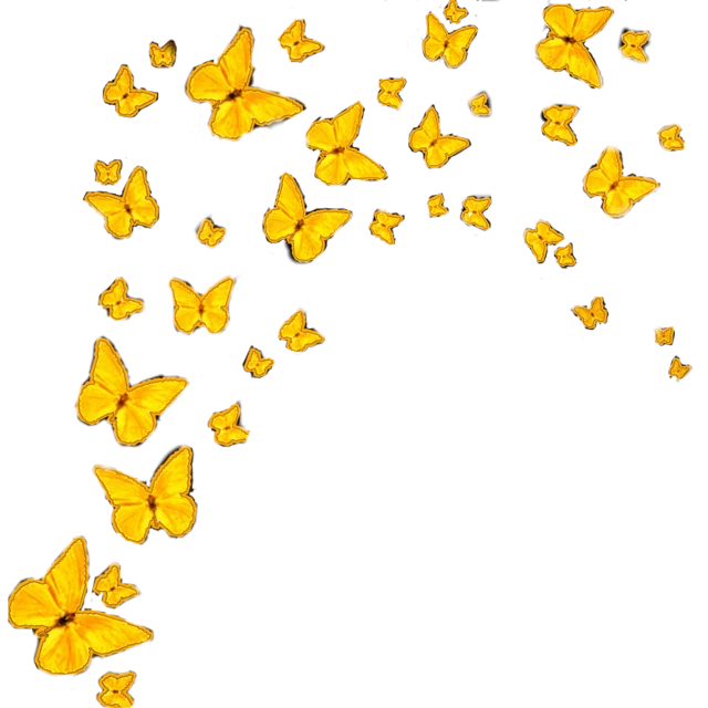 Freetoedit Yellow Vsco Butterfly Sticker By Chloe