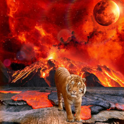 freetoedit tiger fire lava god