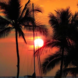 pcbreathtakingviews breathtakingviews hawaii orange sunset pcsummertime freetoedit