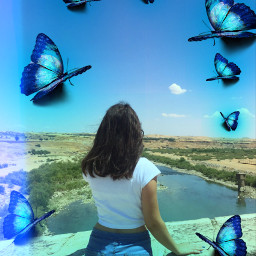 freetoedit replay blue neon butterflies
