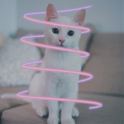 freetoedit cat kitten pink swirl ecneonswirls neonswirls neon