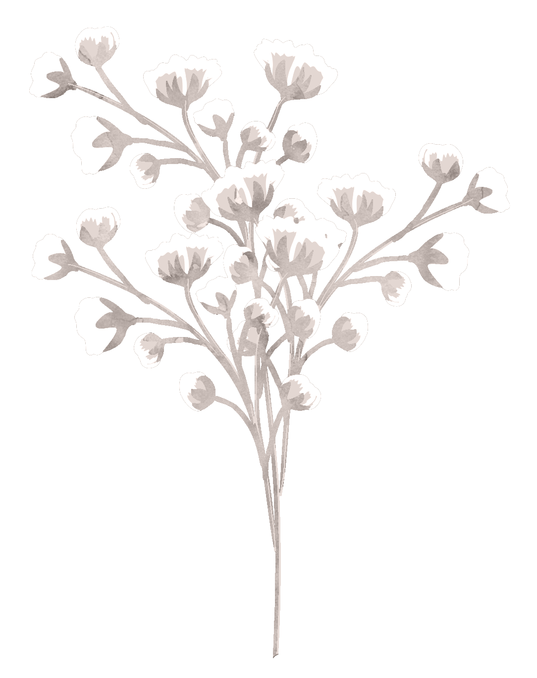 whiteflowers springflowers branches sticker by @stacey4790