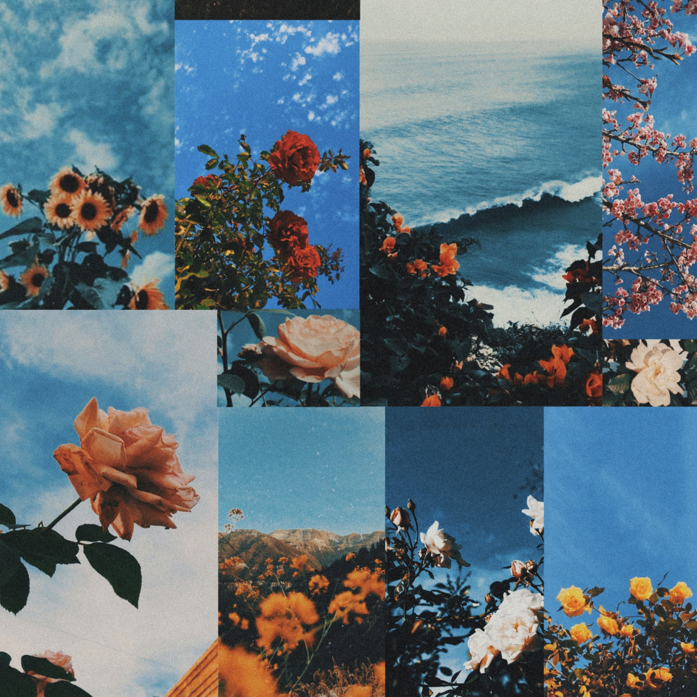 Aesthetic Aesthetics Retro Image By Cleo