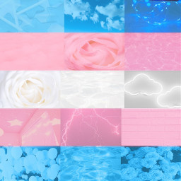 freetoedit transgender