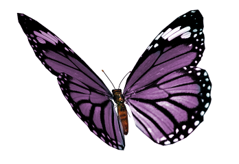mariposa butterfly freetoedit