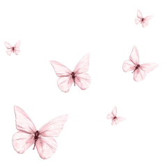 mariposas butterfly freetoedit