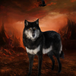 freetoedit ardyn lord izunia wolf
