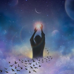 freetoedit sky night galaxy birds ircdancinginthemoonlight dancinginthemoonlight silhouette