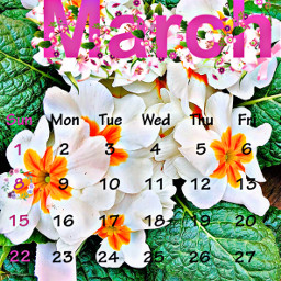 march calendar flowers freetoedit