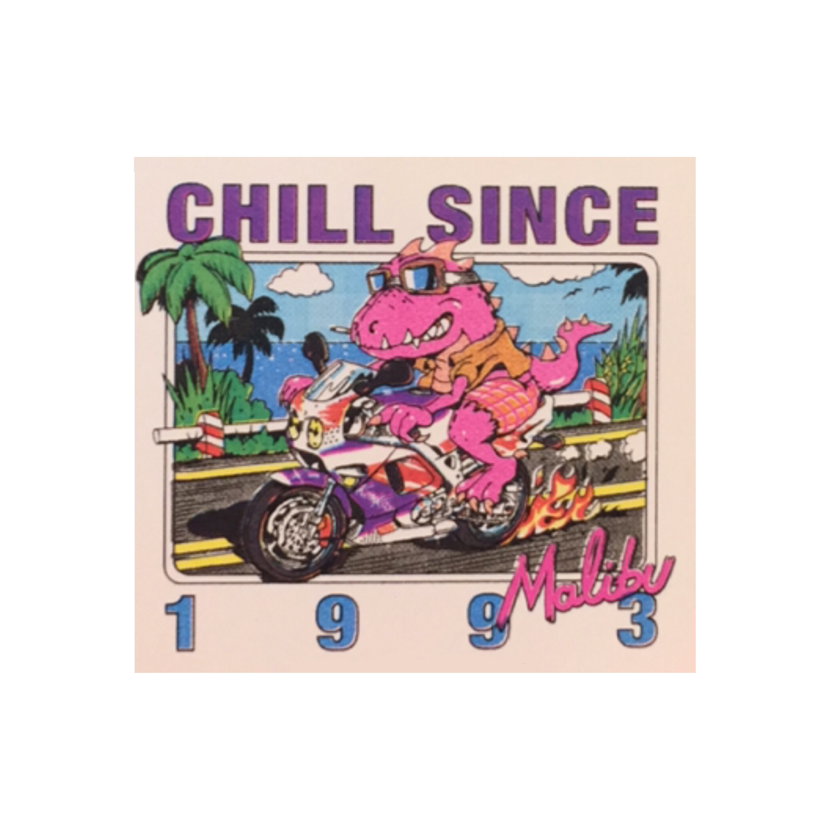 Featured image of post Brandy Melville Stickers Chill Since 1993 66 cm length 48 2 cm bust made in