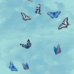 freetoedit blue blueaesthetic butterfly myedit ecphonewallpapers phonewallpapers