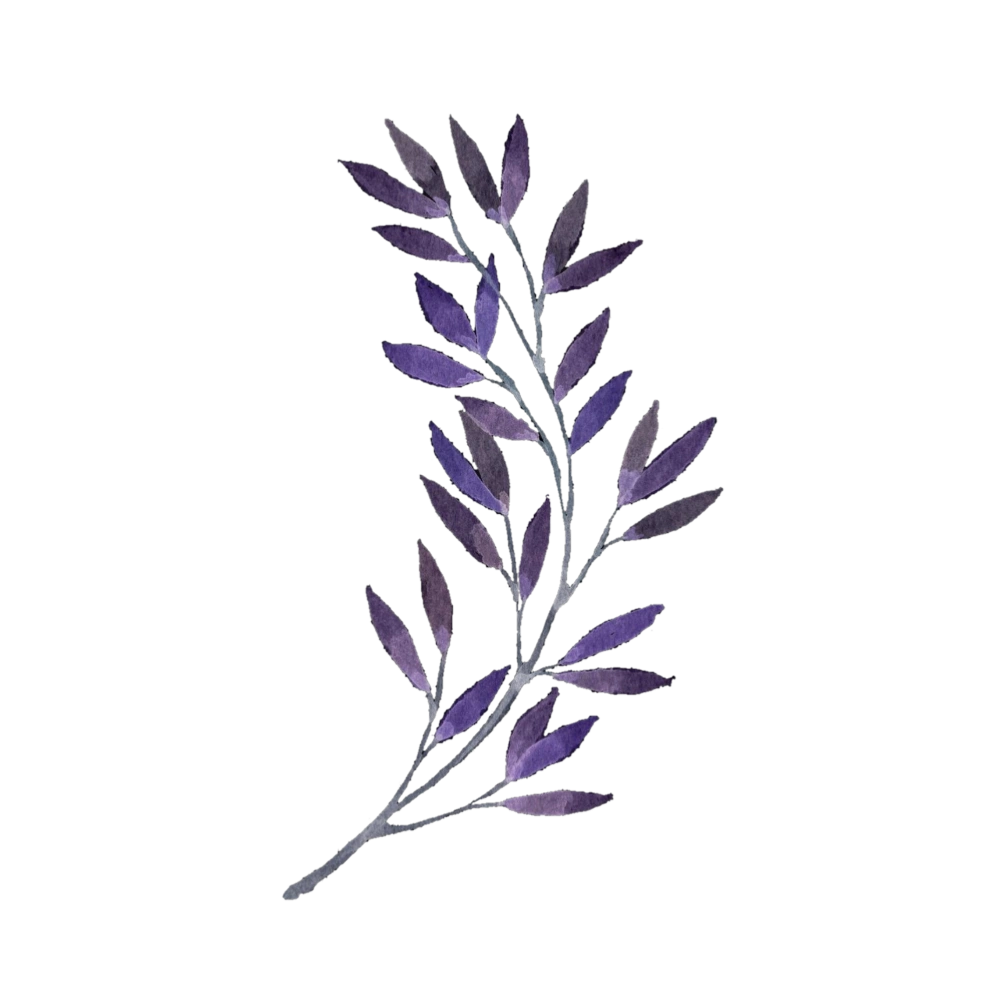 #plant #leaves #purple #aesthetic