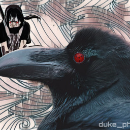 crow sharingan naruto itachi