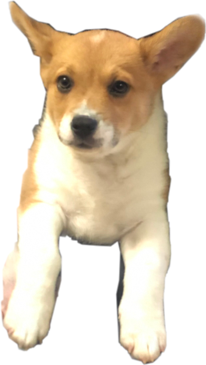 freetoedit freetoedit sticker by nanasungie