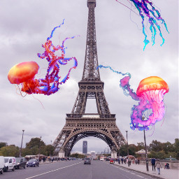 createfromhome france paris jellyfish