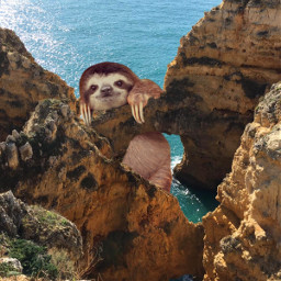 freetoedit sloth biganimal cute art giantanimals