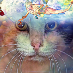 freetoedit nubes fantasy cat gato srcheadintheclouds