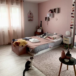 bedroom pink cat babycat sweetdreams homesanctuary createfromhome stayinspired pchomesanctuary