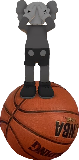 kaws basketball