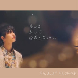 seventeen fallinflower joshua lyrics kpop