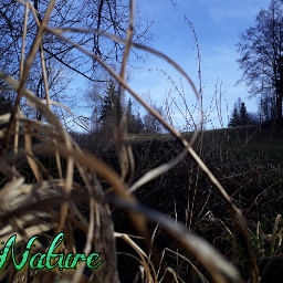 nature new naturelover❤ naturephotograpy natureshot