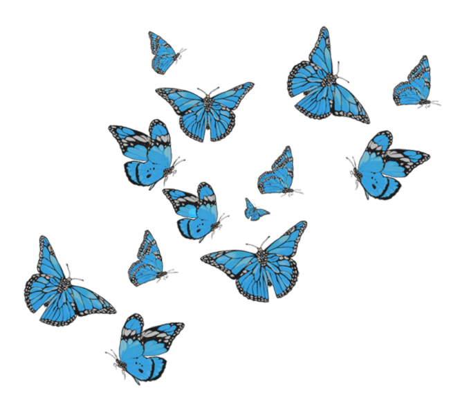 butterfly butterflys butterflies sticker by @uzu9tail