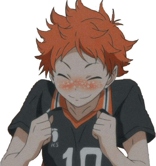 haikyuu haikyuuhinata haikyu sticker by @katsrpurrrfect