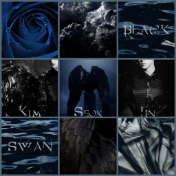 jin bts black swan grid
