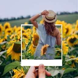 freetoedit girl walking sunflowers ecdreamdestinations dreamdestinations