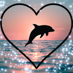 freetoedit dolphin cute sunset sunsettime