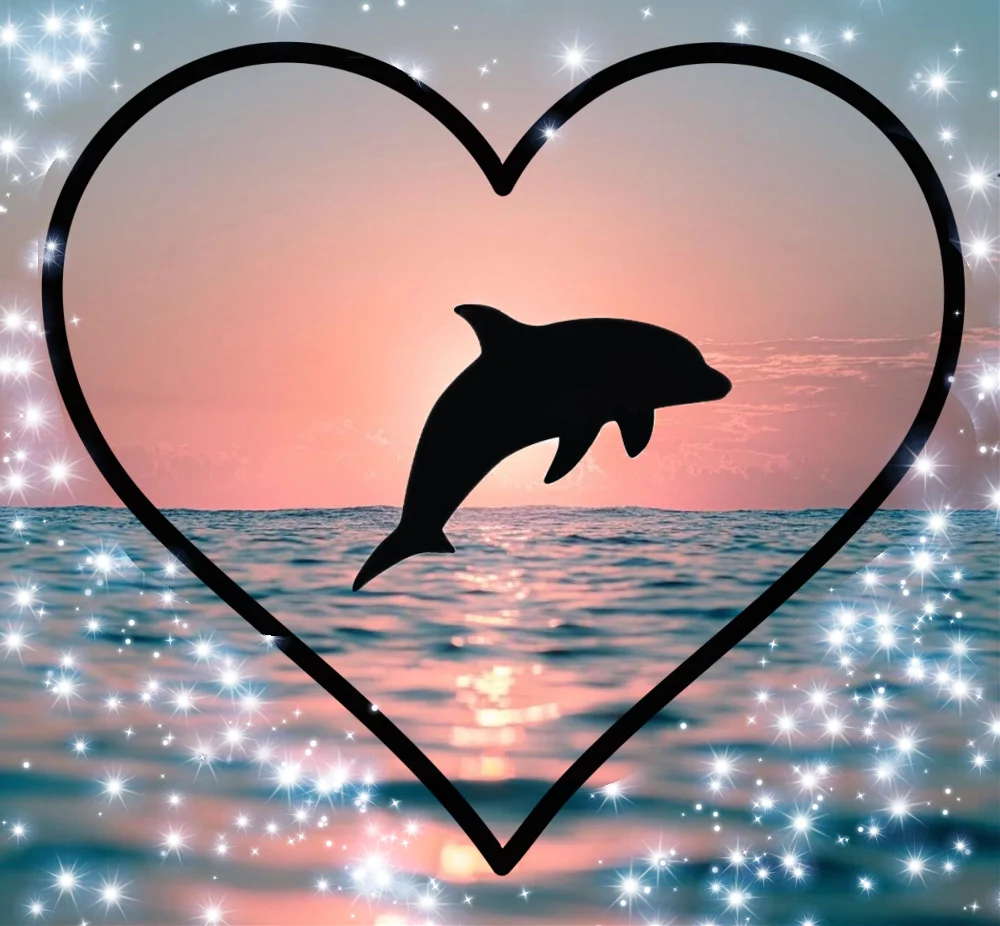 #freetoedit #dolphin #cute #sunset