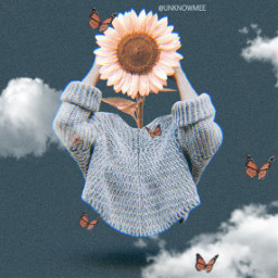 editbyunknowmee flower flowerhead sunflower butterflies freetoedit