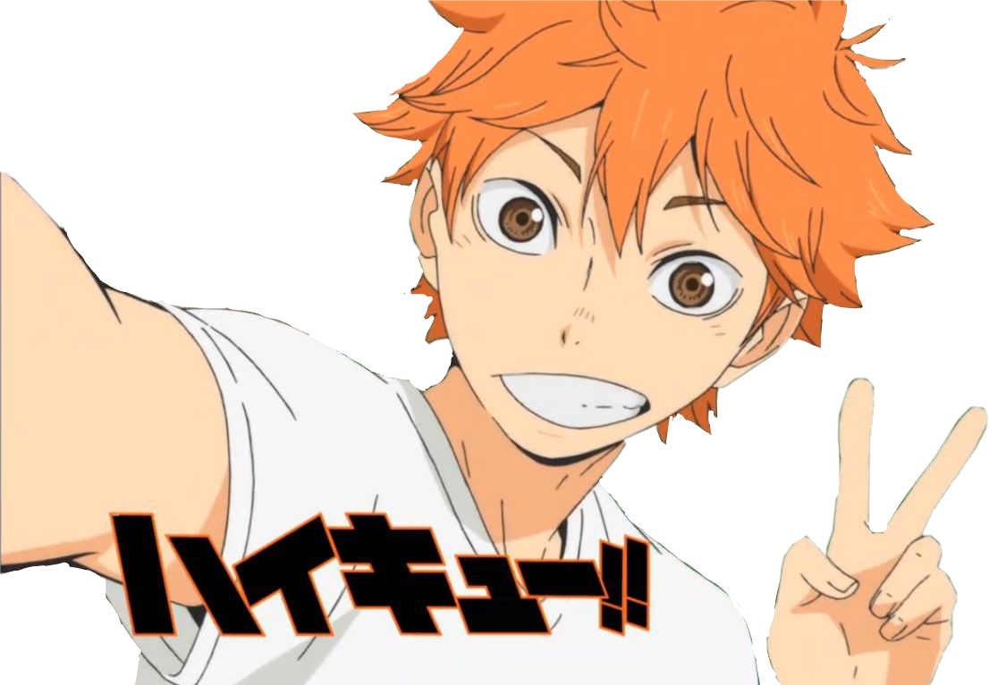 hinata haikyuu hinatashoyo decoy sticker by @kage_yama