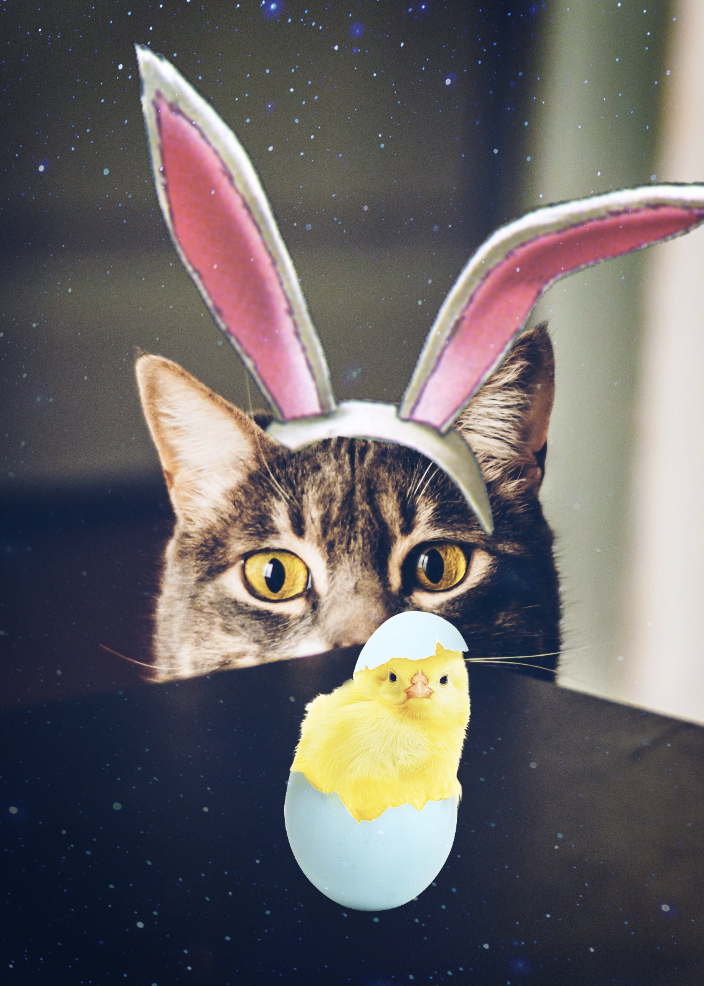#freetoedit #happyeaster #easter #bunnyears #cat #easterchicks #dodgereffect #stickers #sparkles #stars #madewithpicsart #piscart 