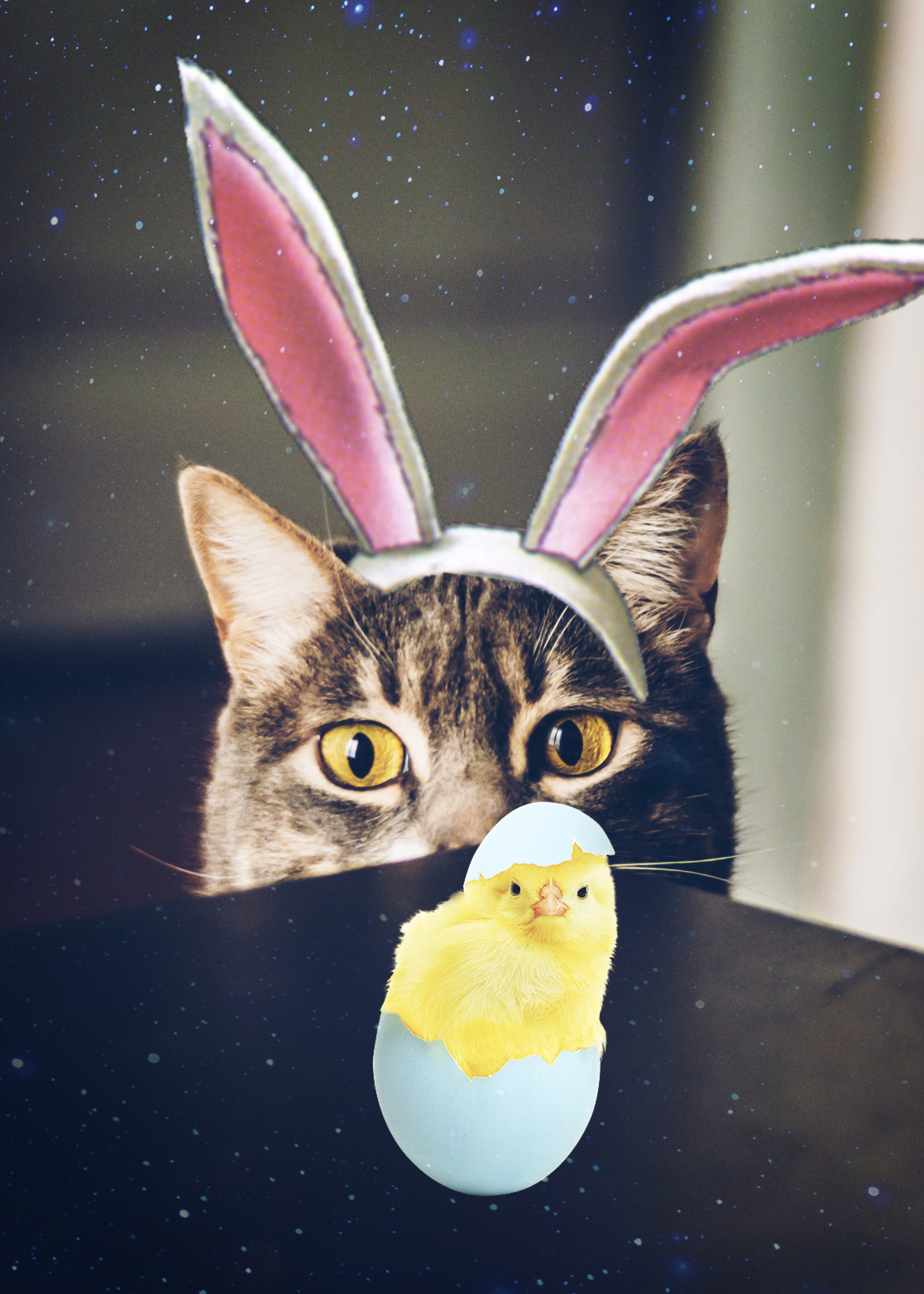 Easter Peeps Memes