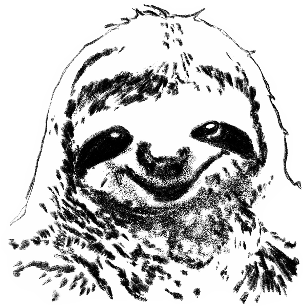 sloth freetoedit #sloth sticker by @fullnature