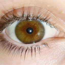 eye green greeneyes👀 browneyedgirl girl