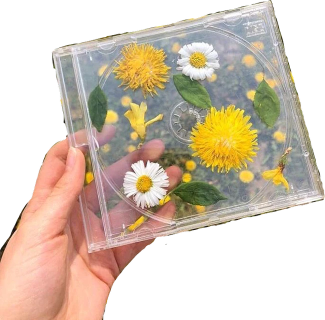 Flowers Clear Cd Aesthetic Sticker By Goksudemirel27 Flowers Clear Cd Aesthetic Sticker By Goksudemirel27