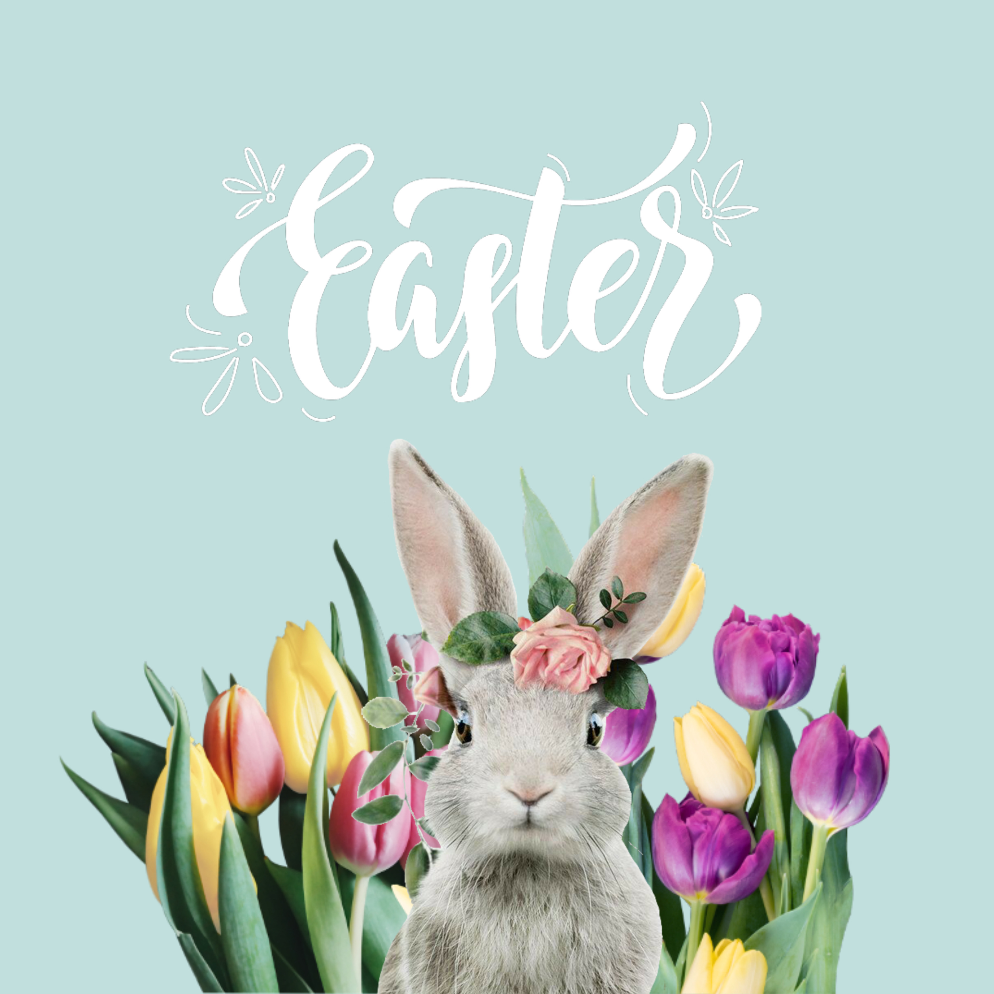 #freetoedit #happyeaster #easter #happyeasterday #easterday #bunny #susilovesphoto #happy 